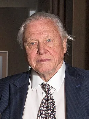 David Attenborough tarot archetype