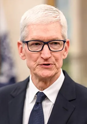 Tim Cook tarot archetype